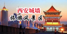 一级日逼视频中国陕西-西安城墙旅游风景区